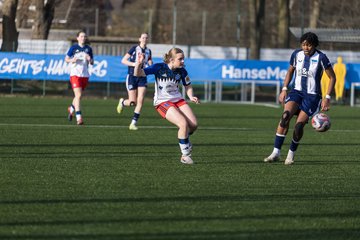 Bild 289 - wBJ Hamburger SV - Hertha BSC : Ergebnis: 2:1